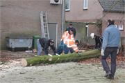 3.NLdoet160313 059